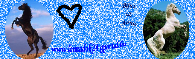 ->We love Animals<-